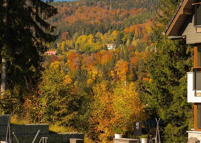 Czarny Kamien & Lägenhetshotell 4*