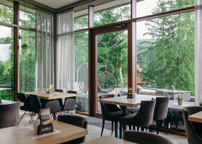 Lägenhetshotell Czarny Kamien & Szklarska Poręba